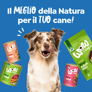 65e1cc92629b427171055c9d