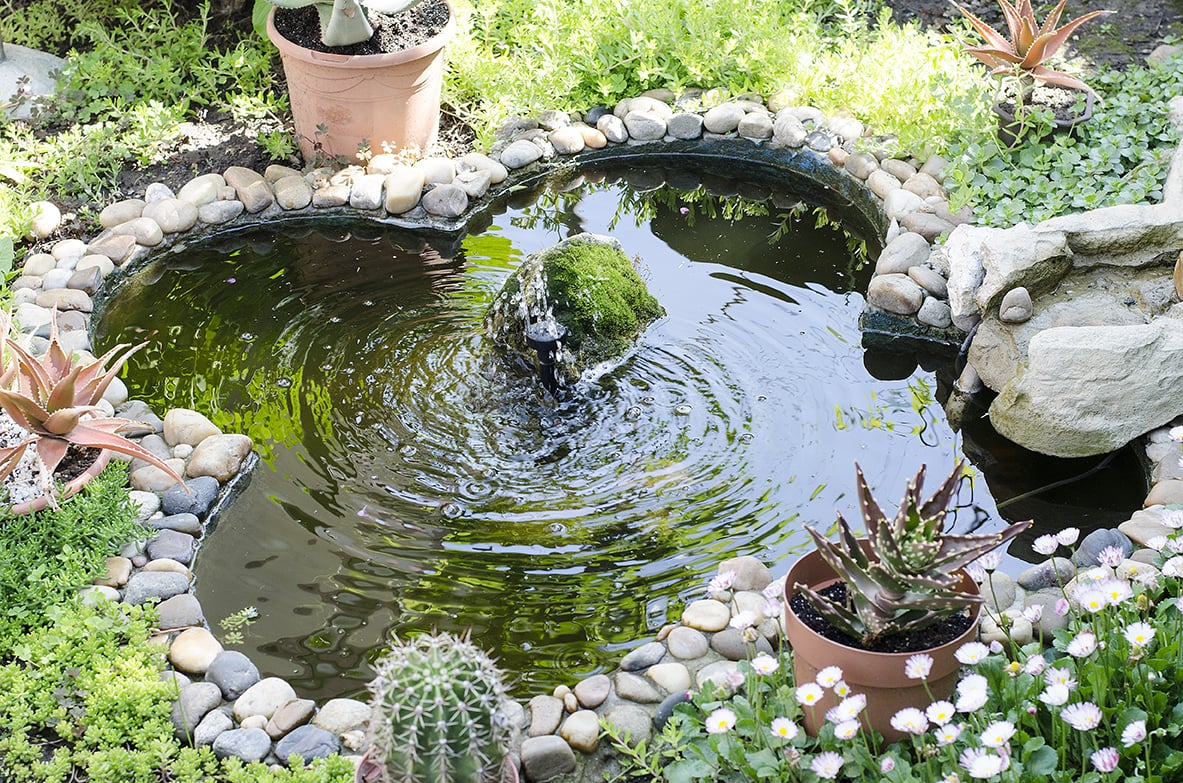 Laghetto artificiale: un angolo di natura in giardino