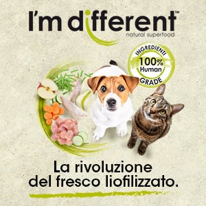 61af2fa312f219c7079879fa