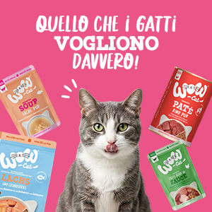 65e1cc92629b427171055c9d