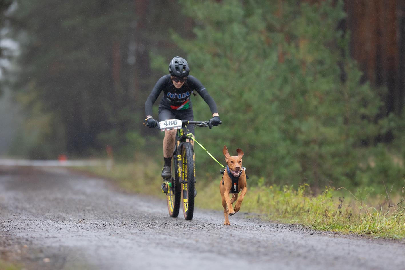 In bici con il cane: con il Bikejoring si pu&ograve;