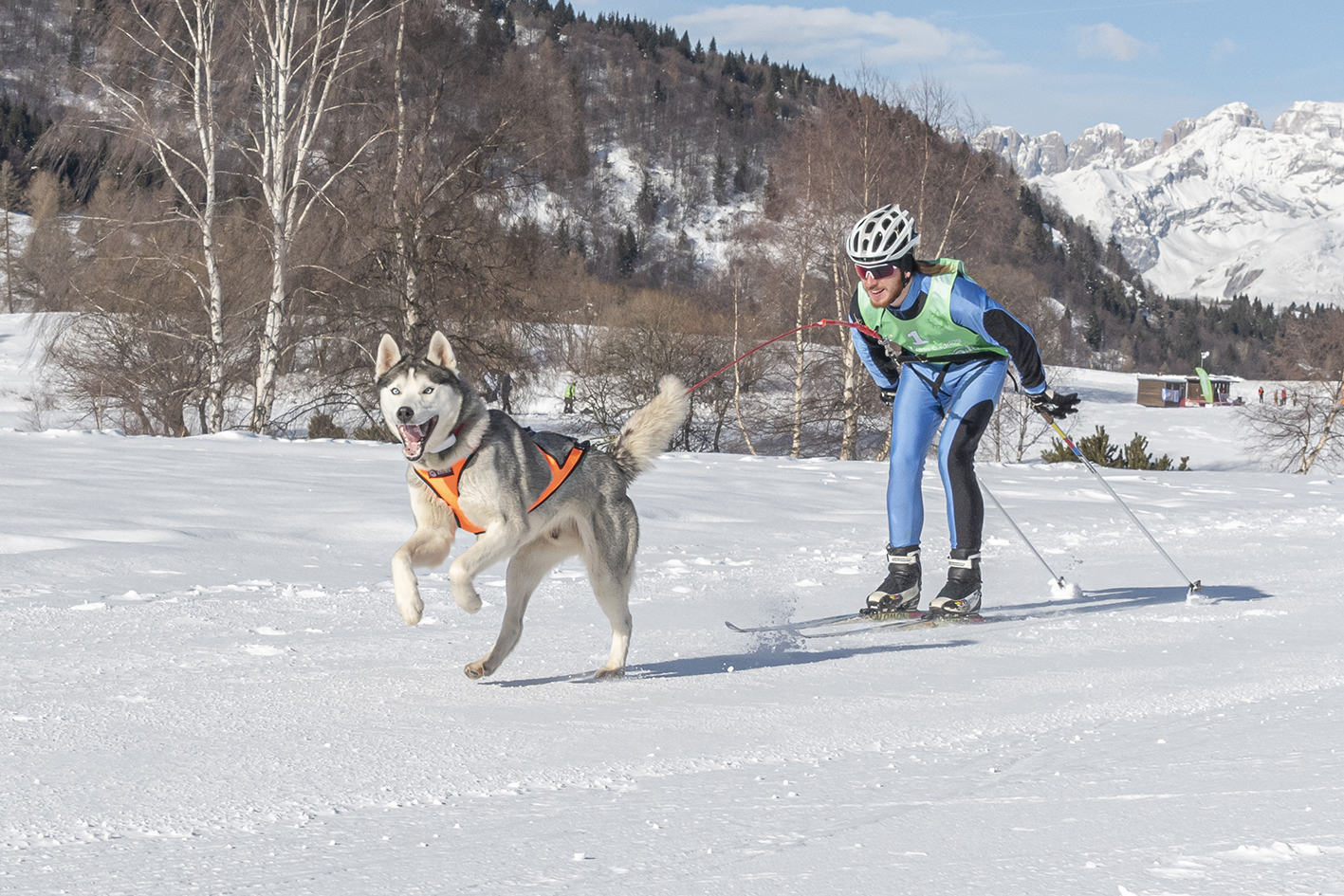 SKIJORING: SCIARE CON IL CANE, CHE DIVERTIMENTO!