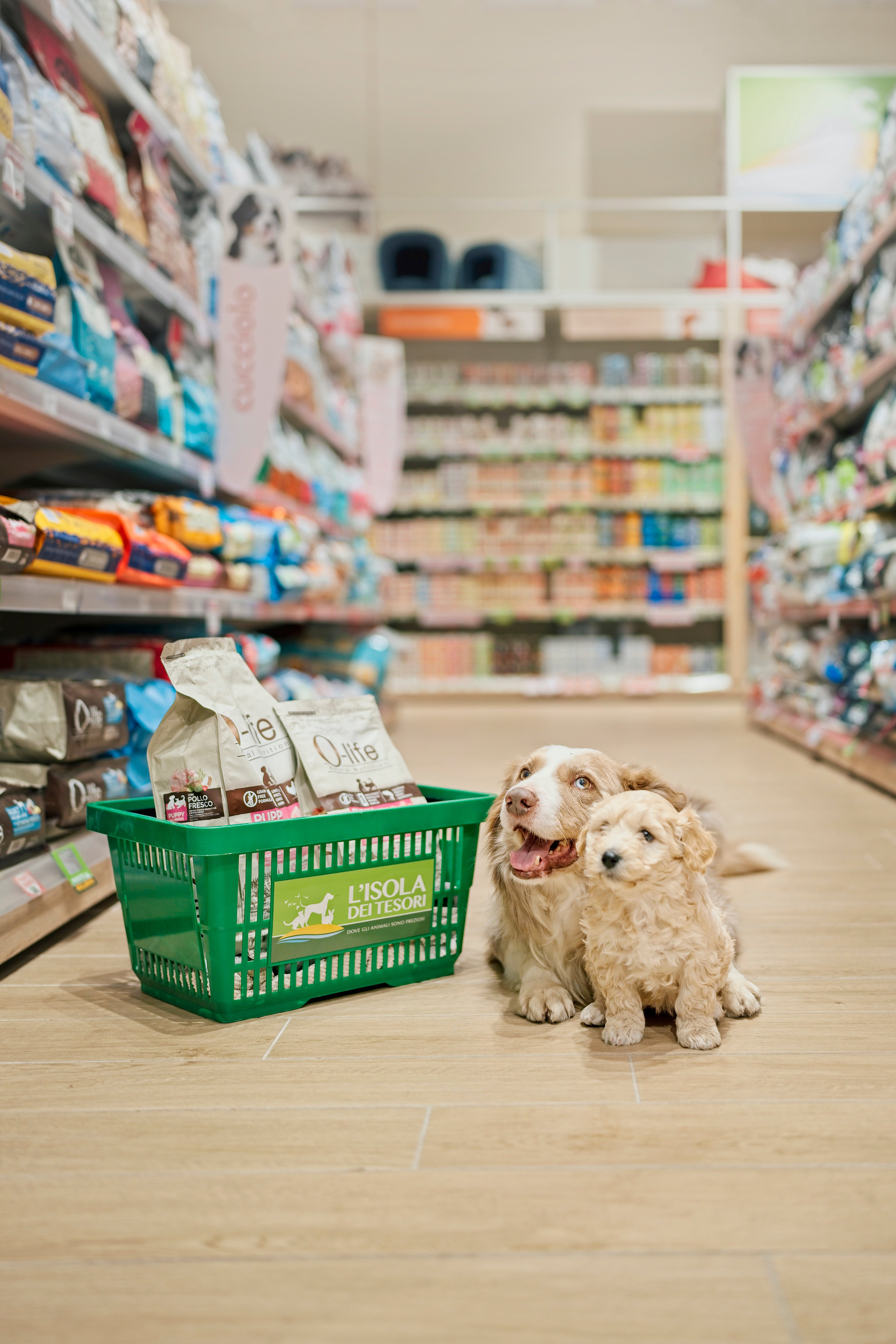 PRODOTTI SICURI E DI QUALITA' GARANTITA