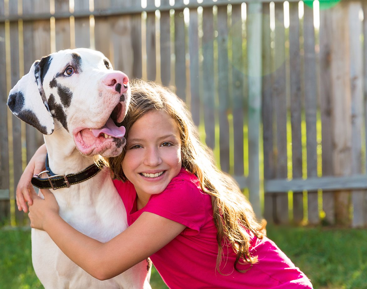 IL CANE E I BAMBINI