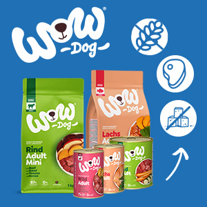 65e1cc92629b427171055c9d