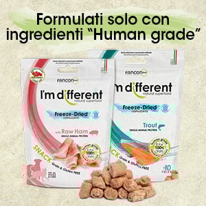 61af2fa312f219c7079879fa