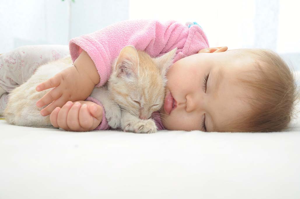 BEBÈ IN ARRIVO: IL FELINO DI CASA PUÒ RESTARE!