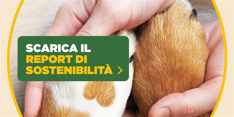 Sustainability - Isola dei Tesori