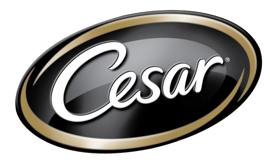 CESAR