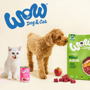 65e1cc92629b427171055c9d