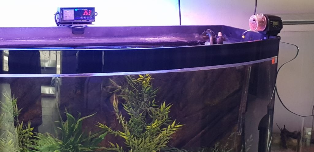 L’acquario… non va in vacanza!