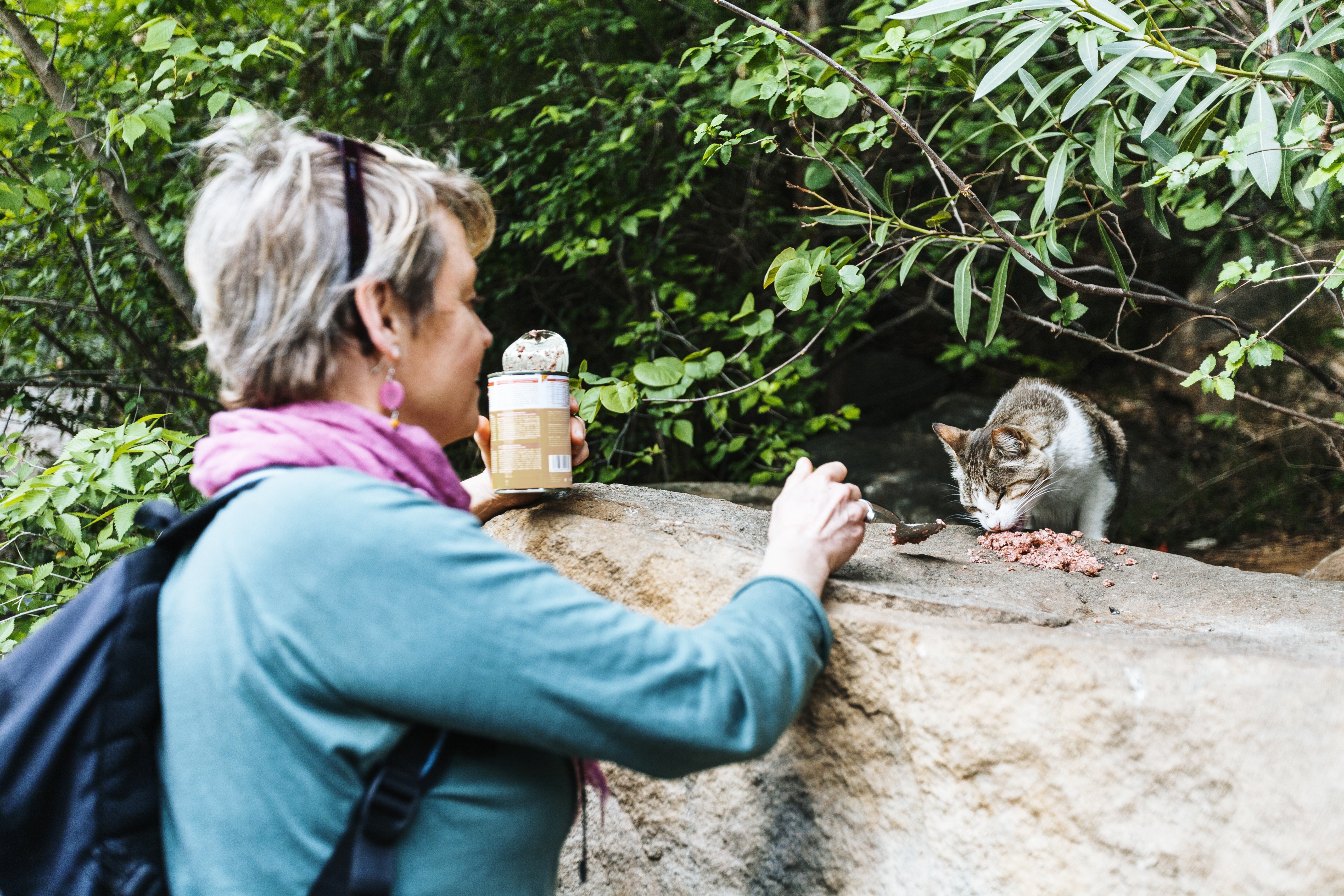 CON L'ISOLA DELLE ZAMPETTE SOLIDALI SOSTENIAMO I PET BISOGNOSI