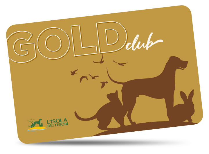 Card Club Gold