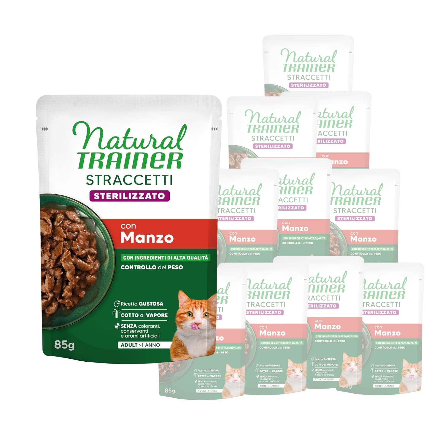 Natural Trainer Cat Steril straccetti con Manzo 85gr img
