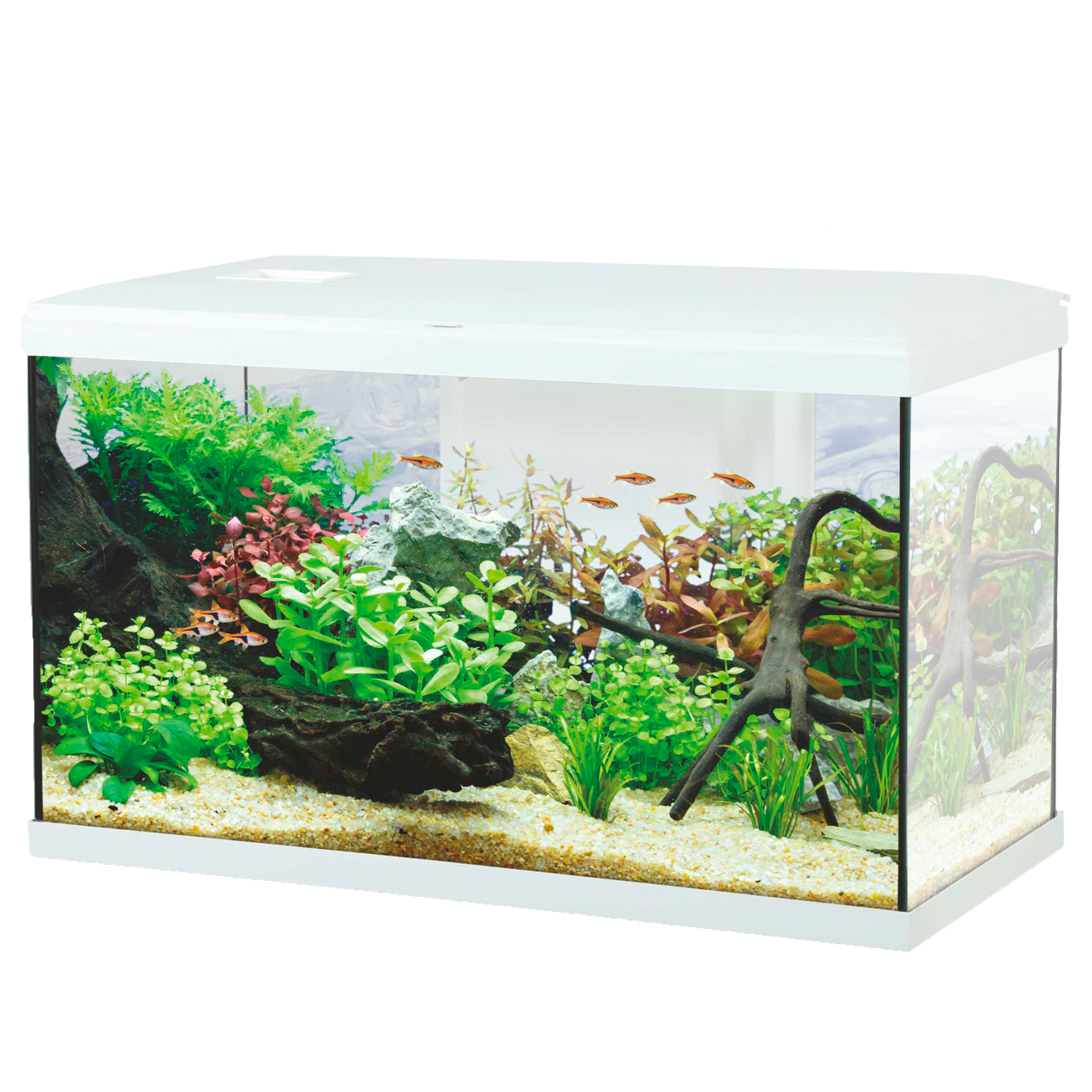 Aqualovers Acquario Ocean 60 colore Bianco