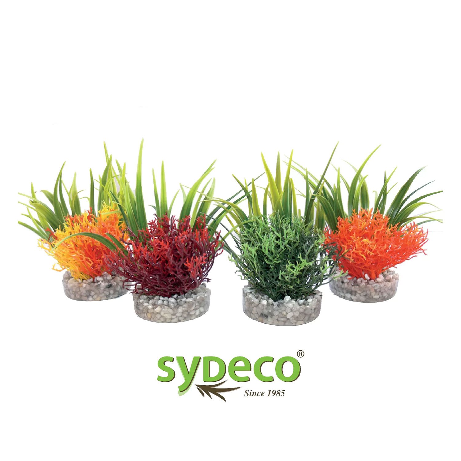 Sydeco Pianta Tropica