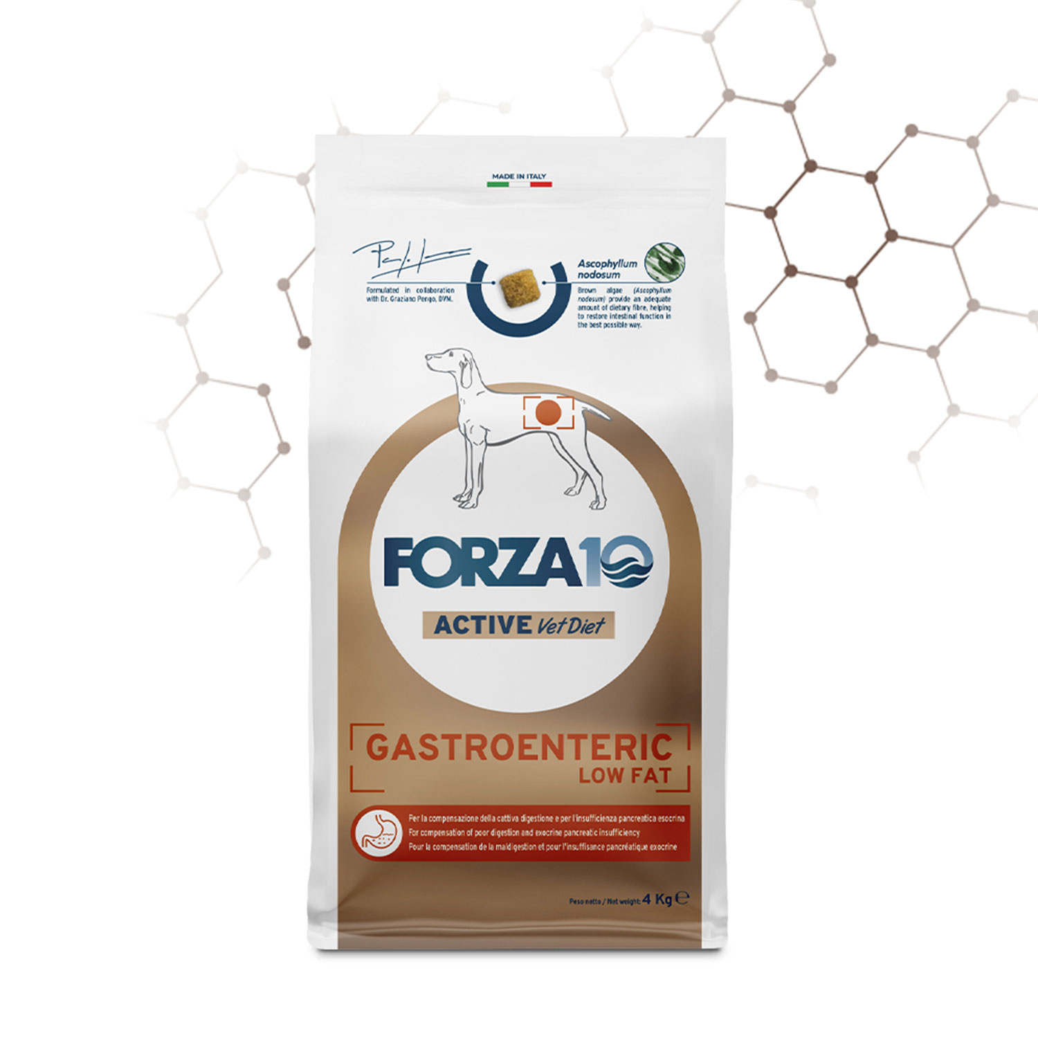 Forza 10 Active Forza10 Active Dog adult all size Gastroenteric Low Fat 10 kg