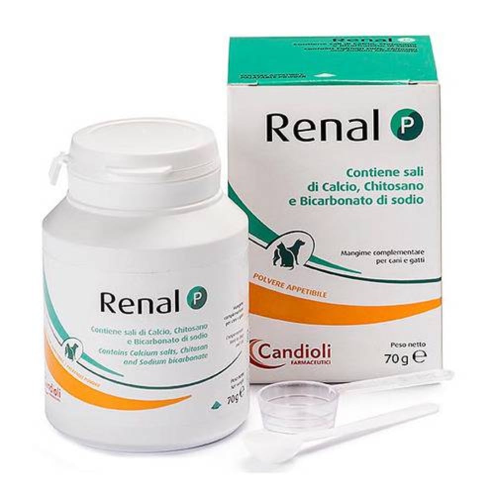 Candioli Renal P per Cani e Gatti 70g