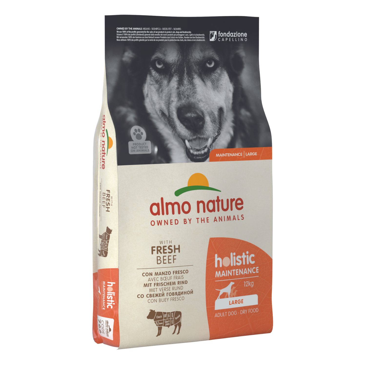 Almo Nature Holistic Dog Adult L con Manzo 12kg
