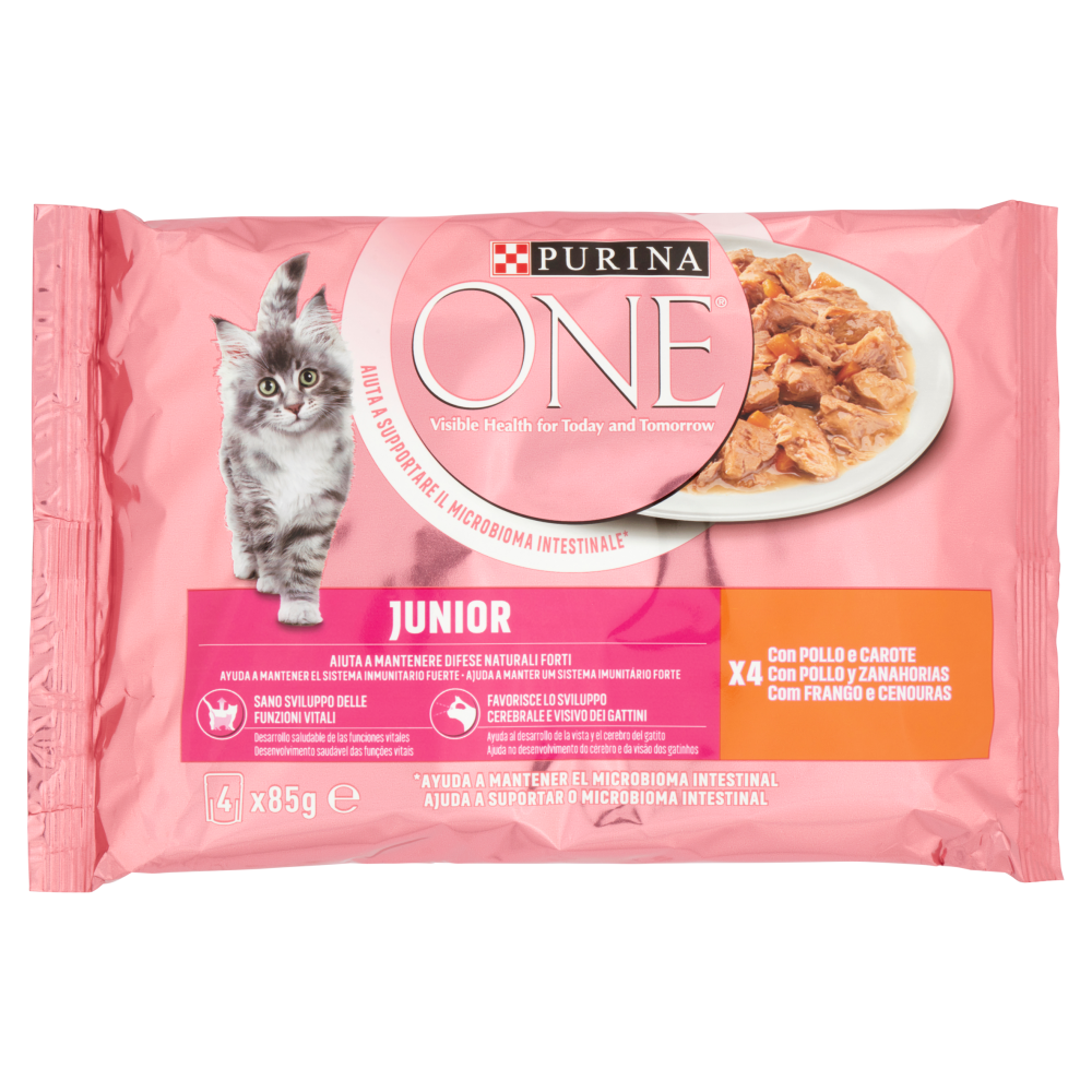 Purina One Kitten con Pollo e carote 85grx4pz