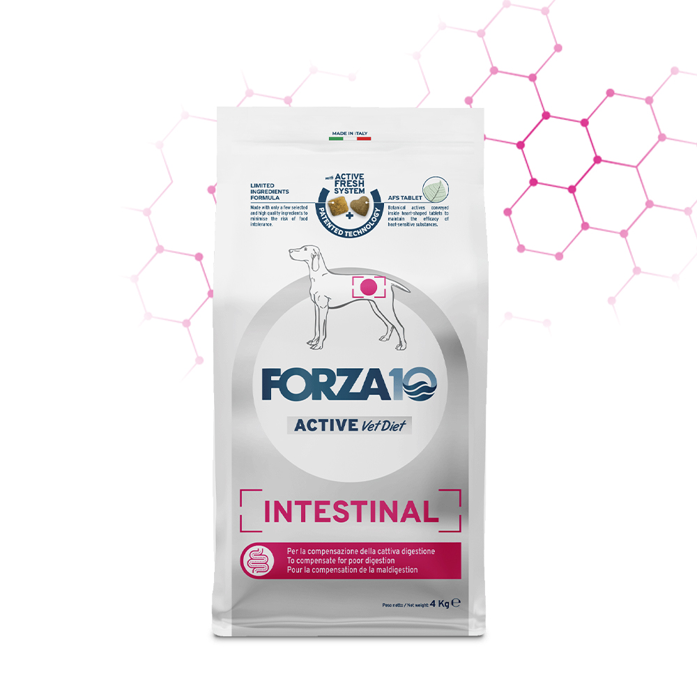Forza10 Active vet diet Dog Adult Intestinal 4 kg
