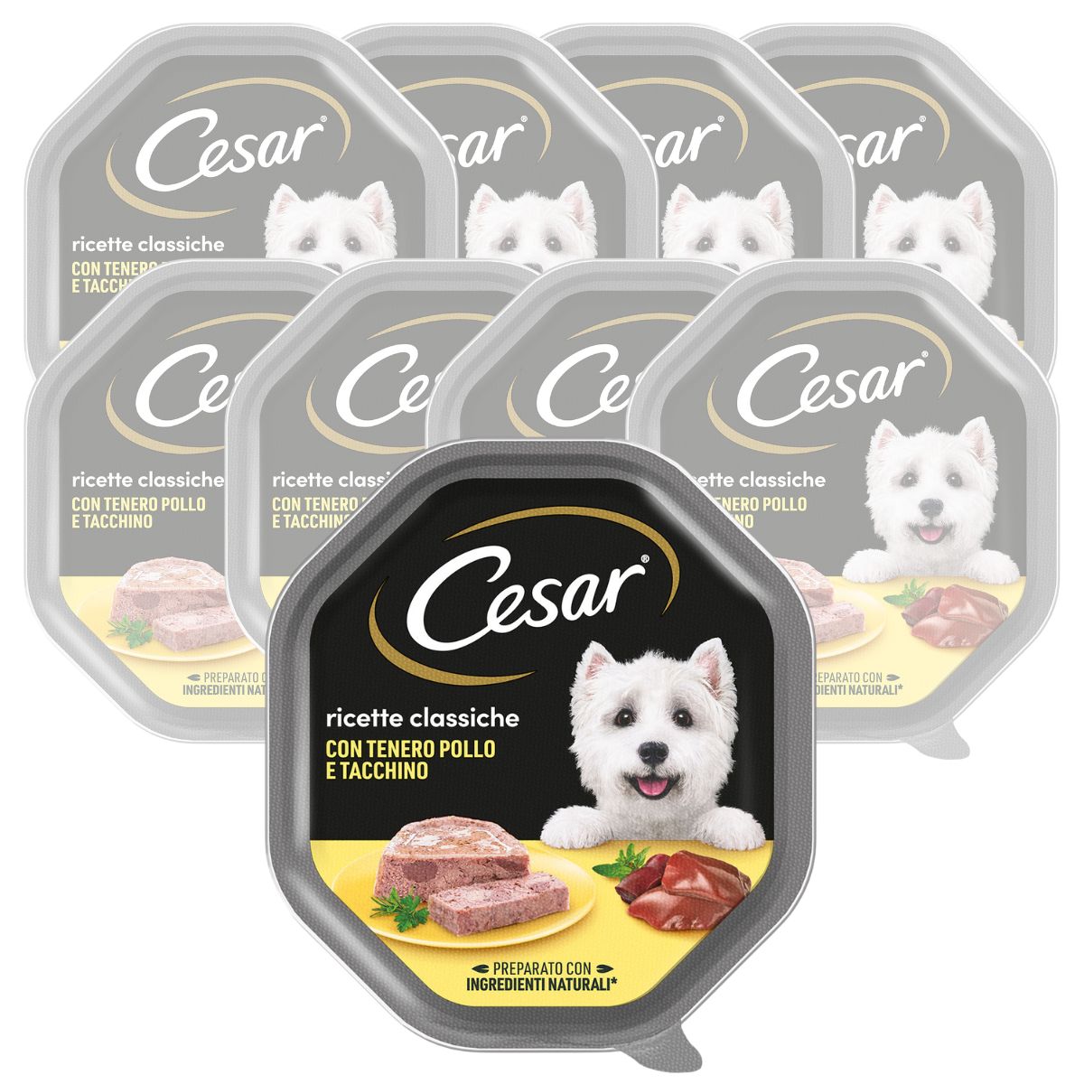 CESAR RICETTE CLASSICHE CON TENERO POLLO E TACCHINO 150 GR - Immagine 2