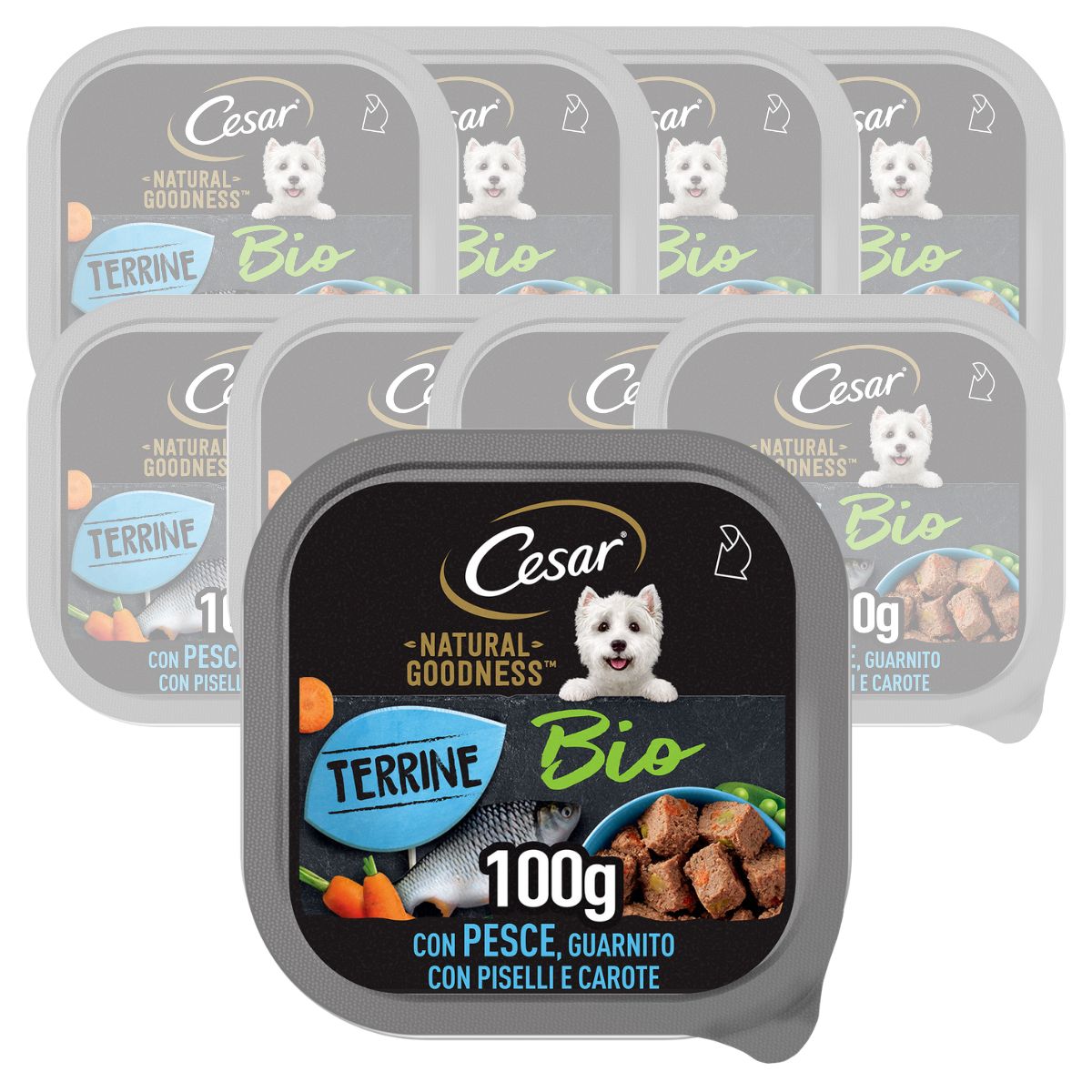Cesar Dog Natural Goodness Bio Terrine con Pesce 100 gr img