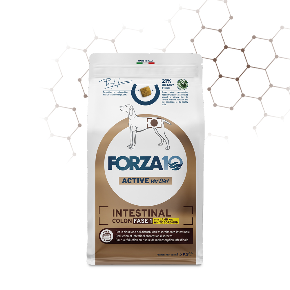 Forza10 Active Vet Diet Dog Adult Intestinal Colon Fase 1 Agnello e sorgo bianco 1,5 kg