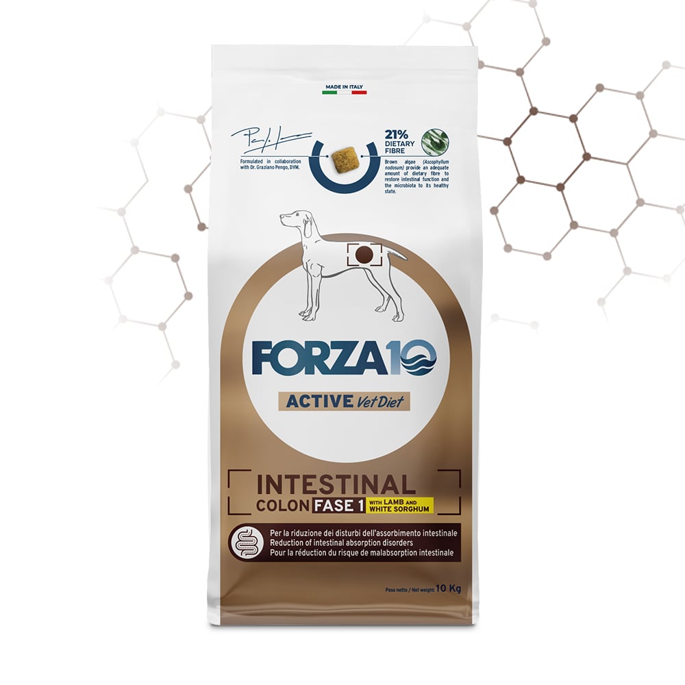 Forza10 Active Vet Diet Dog Adult Intestinal Colon Fase 1 Agnello e sorgo bianco 10 kg