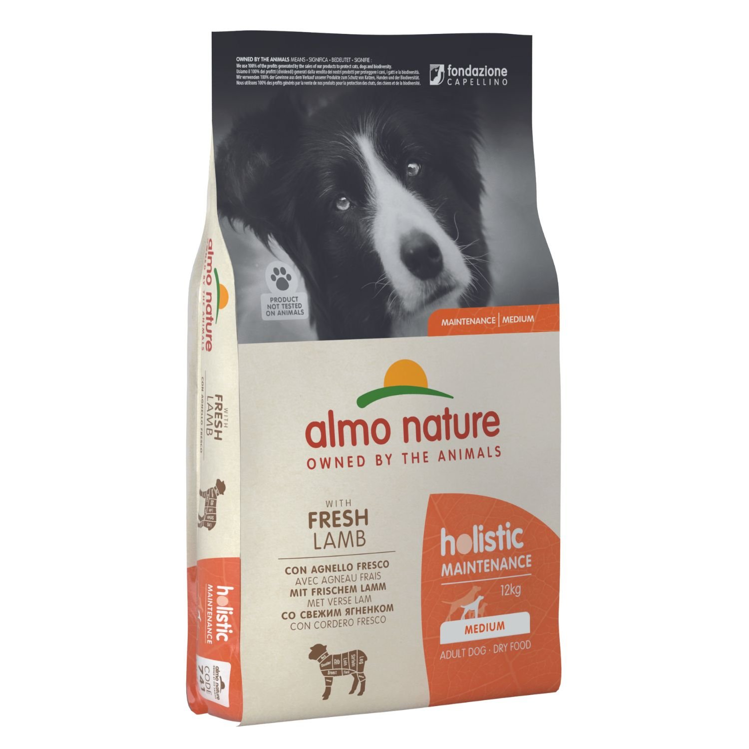 Almo Nature Holistic Dog M con Agnello Fresco 12 kg