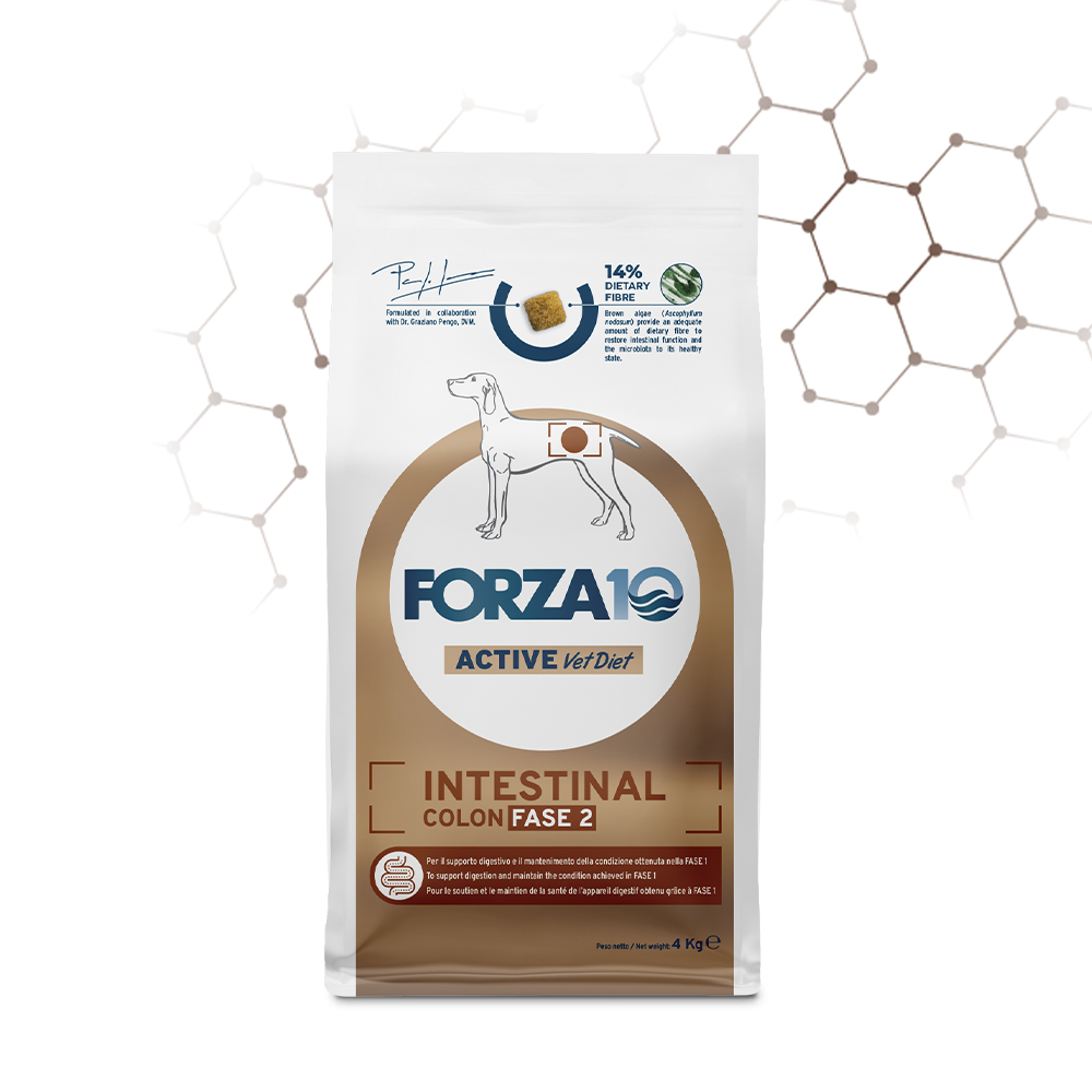 Forza10 Active Vet Diet Dog Intestinal Colon Fase 2 4 kg