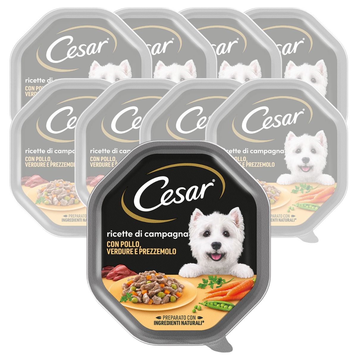Cesar Dog Ricette di Campagna con Pollo e Verdure in Salsa 150 gr img