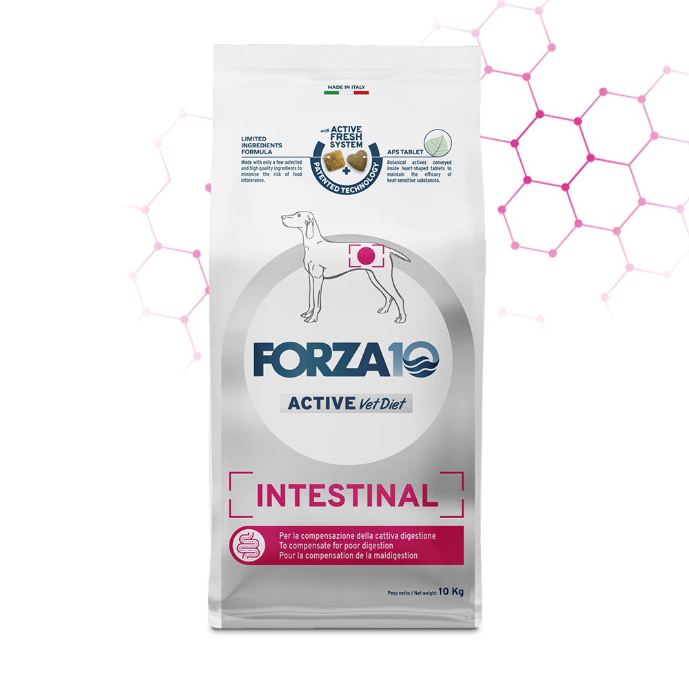 Forza10 Active Vet Diet Dog Adult Intestinal 10 kg