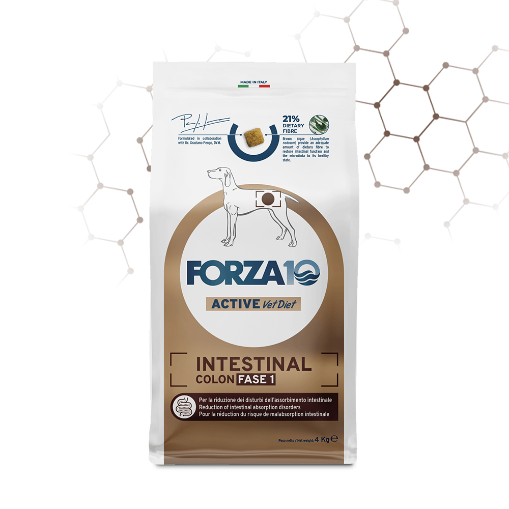 Forza 10 Active Vet Diet Dog Intestinal Colon Fase1 4 Kg