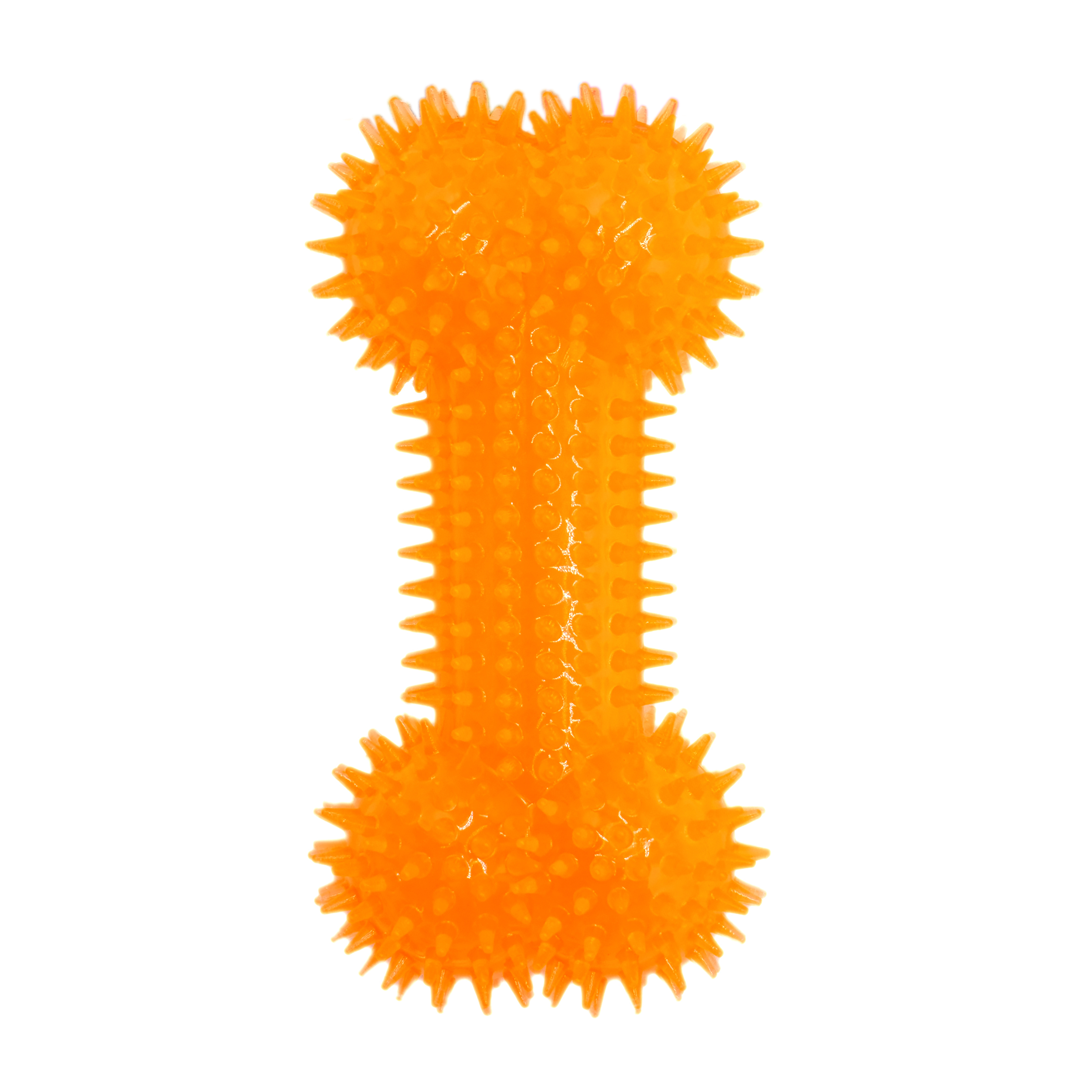 Petup Joy gioco cane Studs Bone 16,5 cm