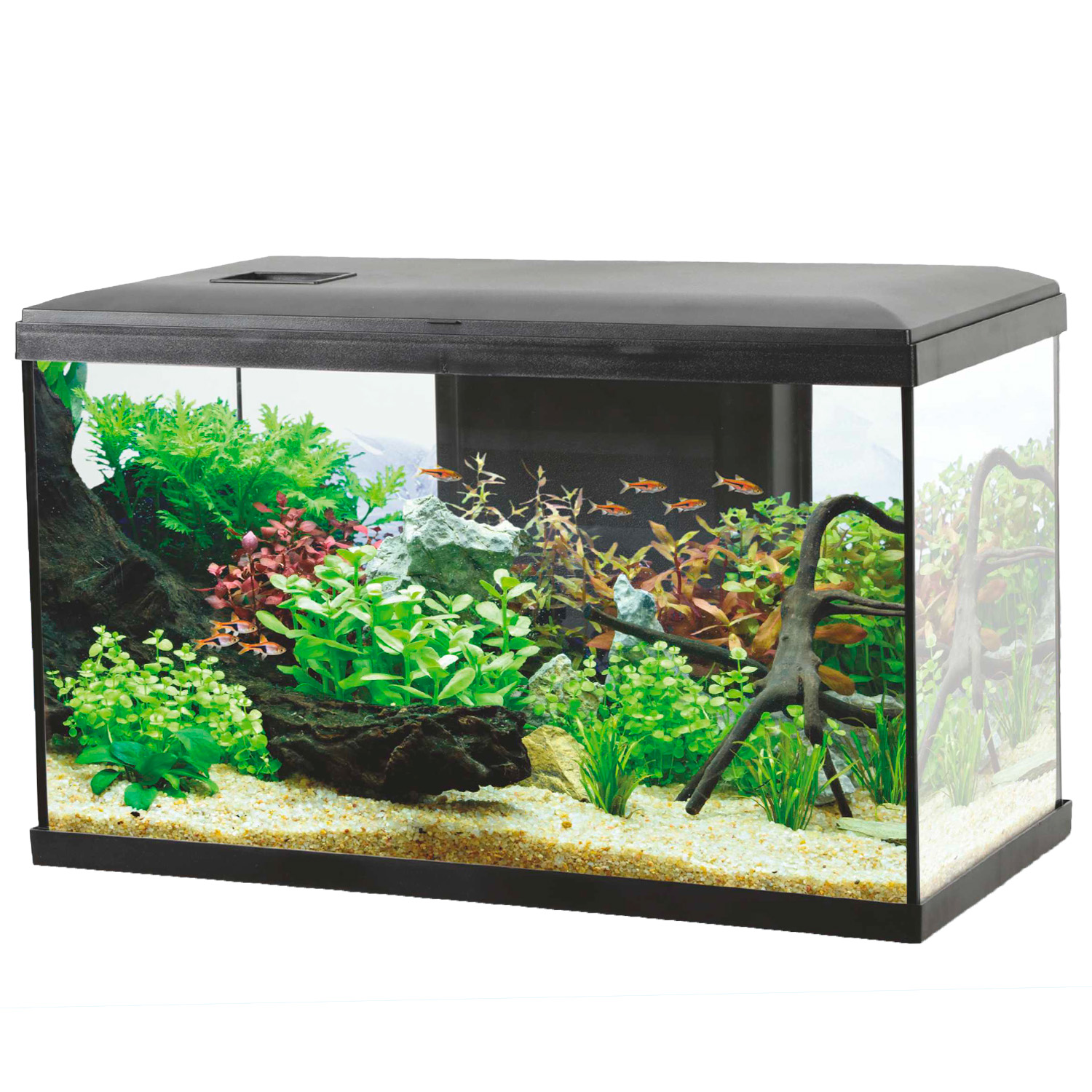Aqualovers Acquario Ocean 60 colore Nero
