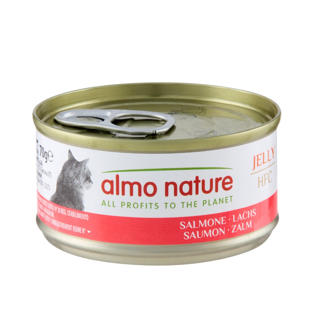 Almo Nature HFC Cat Jelly Salmone 70g