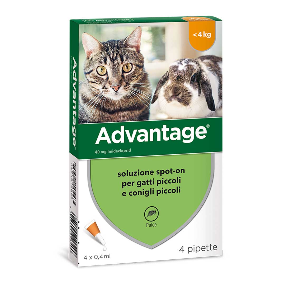 Bayer Advantage 4 / 8 / 12 / 16 / 20 pipette 40 mg per Gatti e Conigli FINO 4 Kg img 1