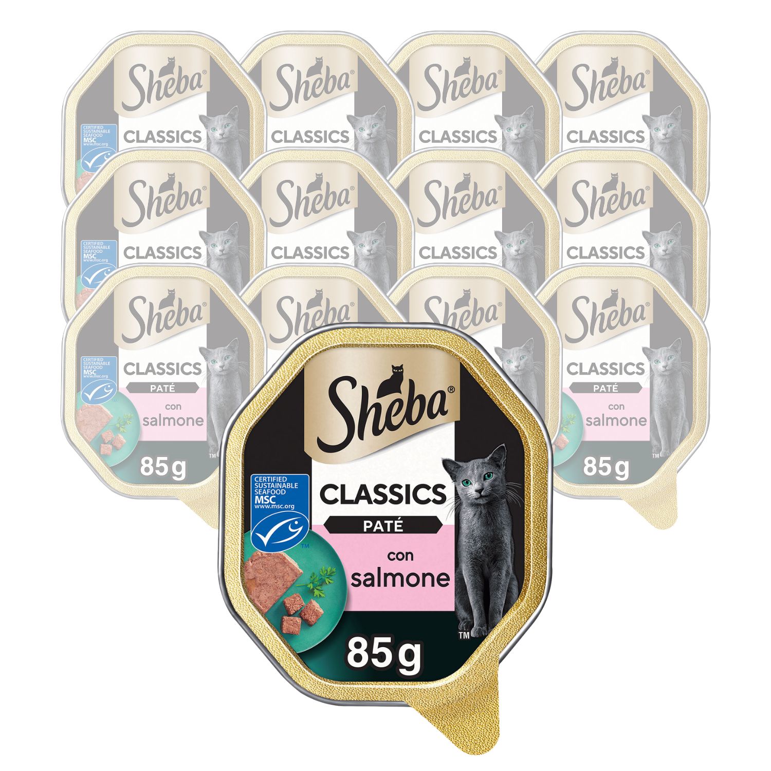 Sheba Cat Patè Classics con Salmone 85 gr
