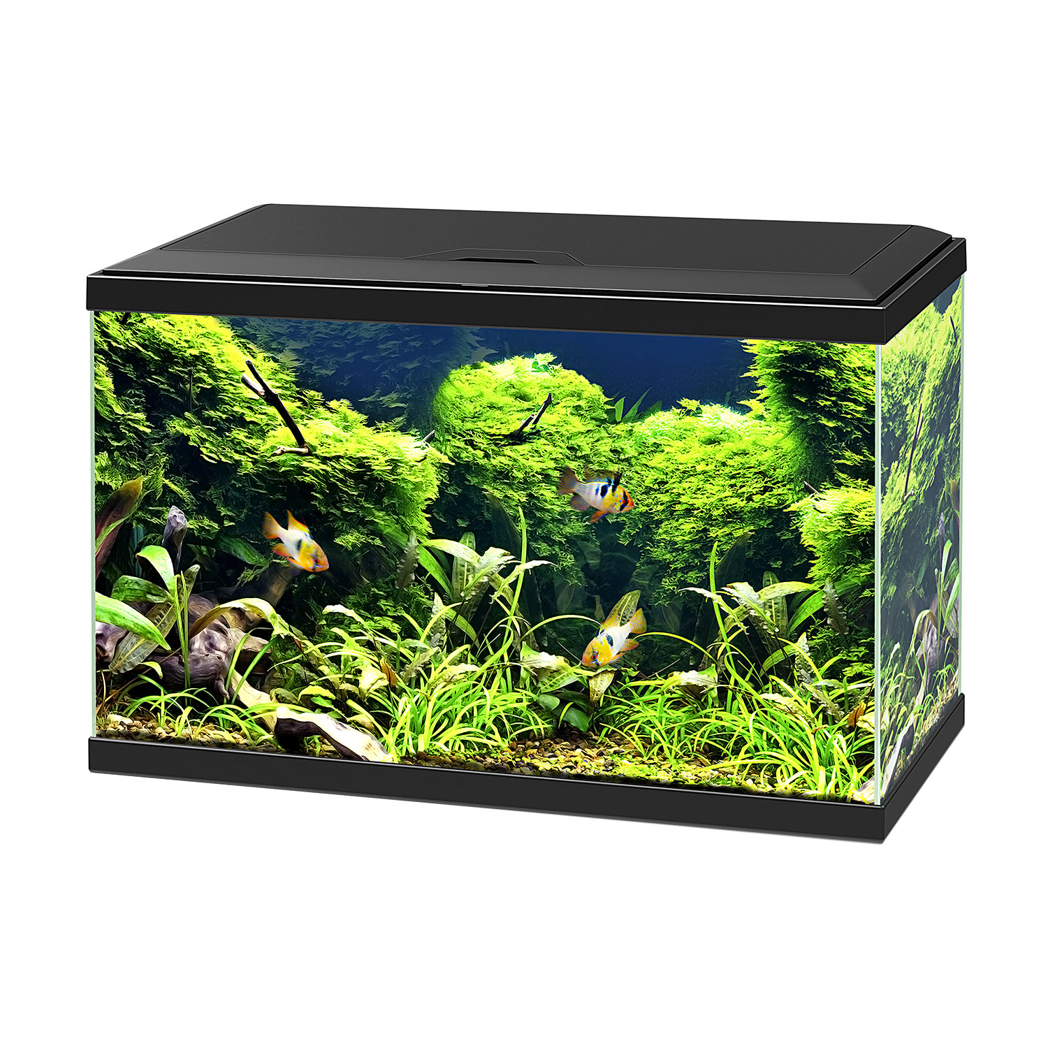 Askoll Acquario Aqua 60 led Nero
