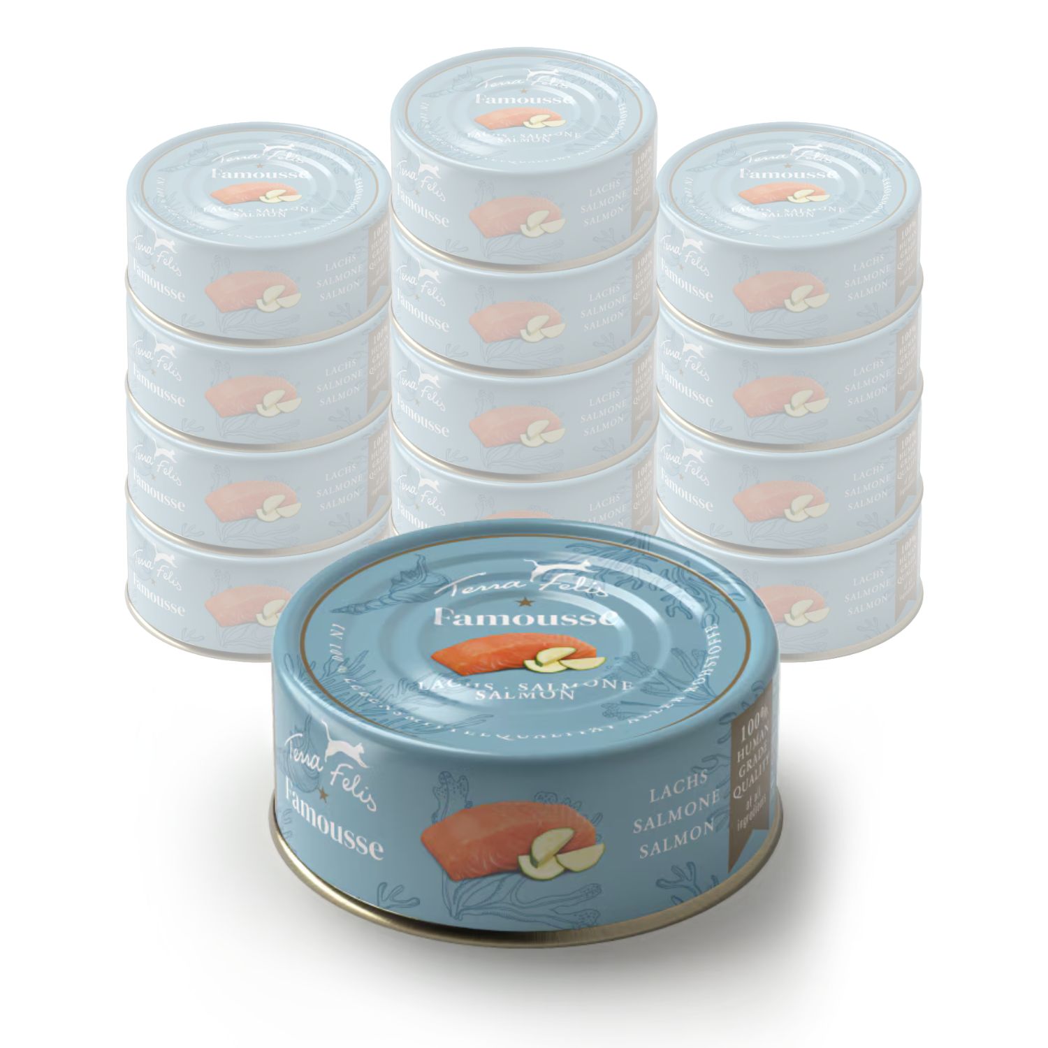 Terra Felis Famousse Cat Adult Salmone 80 gr img
