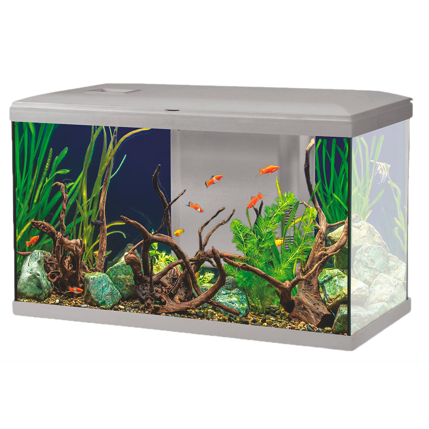 Aqualovers Acquario Ocean 60 colore Grigio