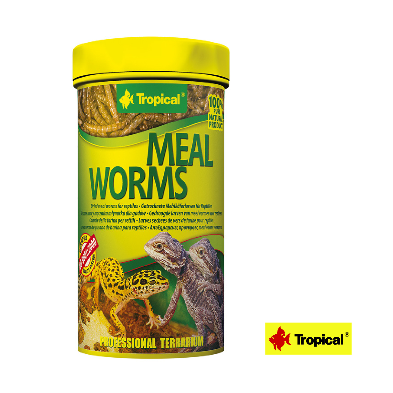 Tropical Meal Worms 100 ml