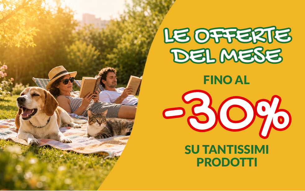 Promozioni