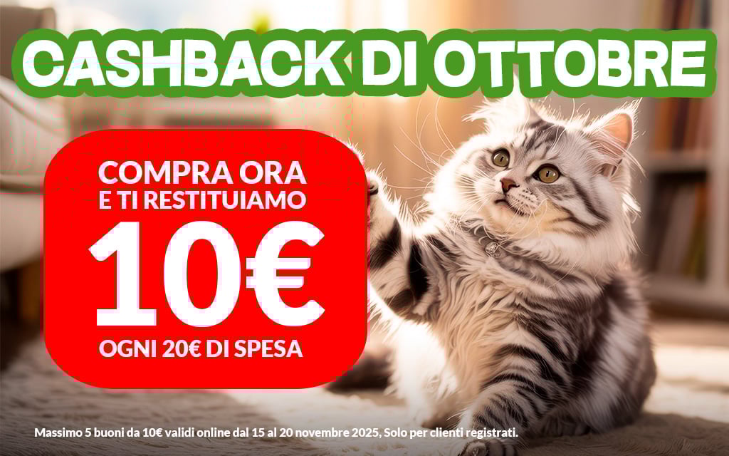 Tutti i prodotti