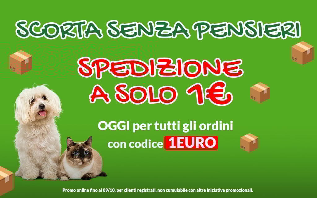 Spedizione a 1€