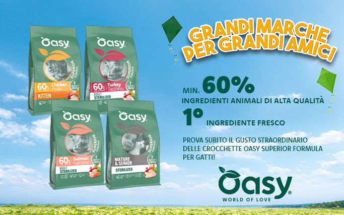 Oasy