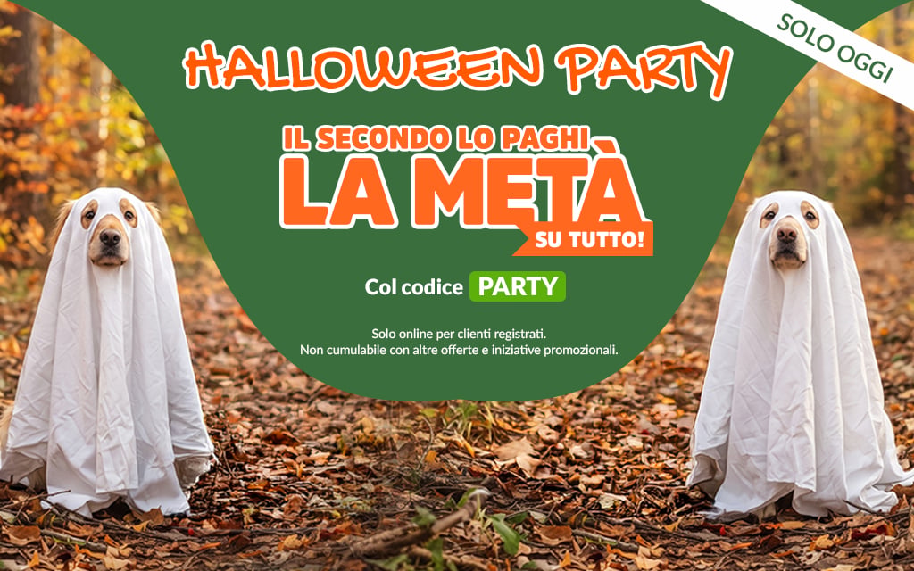 Halloween party