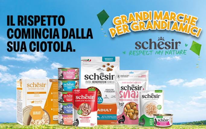 Schesir