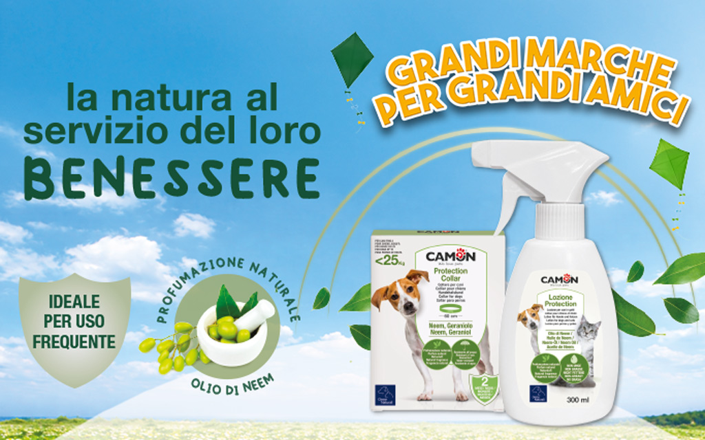 Camon
